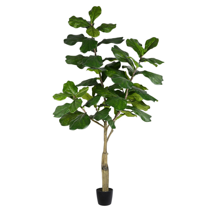Artificial Potted Fiddle Tree. Birch Lane™ Size: 72" H x 34" W x 34" D