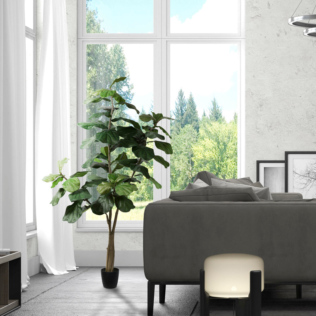 Artificial Potted Fiddle Tree. Birch Lane™ Size: 72" H x 34" W x 34" D