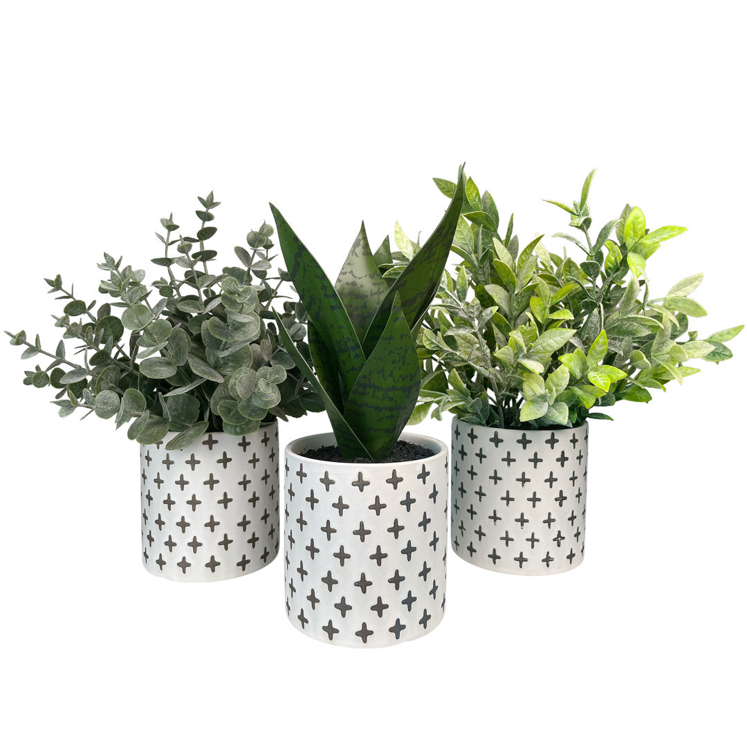 3 - Piece Artificial Eucalyptus Plant in Pot Set (Set of 3) Primrue