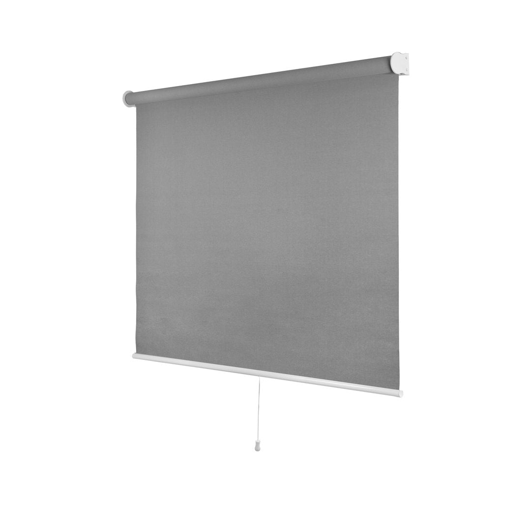Shaunna Snap-N'-Glide Cordless Room Darkening Roll-up Shade Symple Stuff Color: Urban Gray Blind Size: 49"W x 72"L