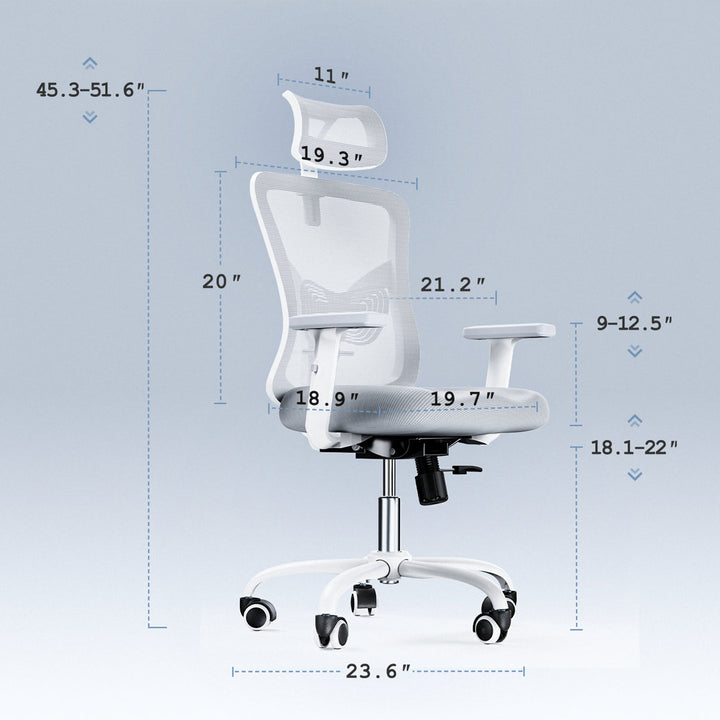 Thurso Ergonomic Task Chair Office Chair Ergonomic Home Office Chair Inbox Zero