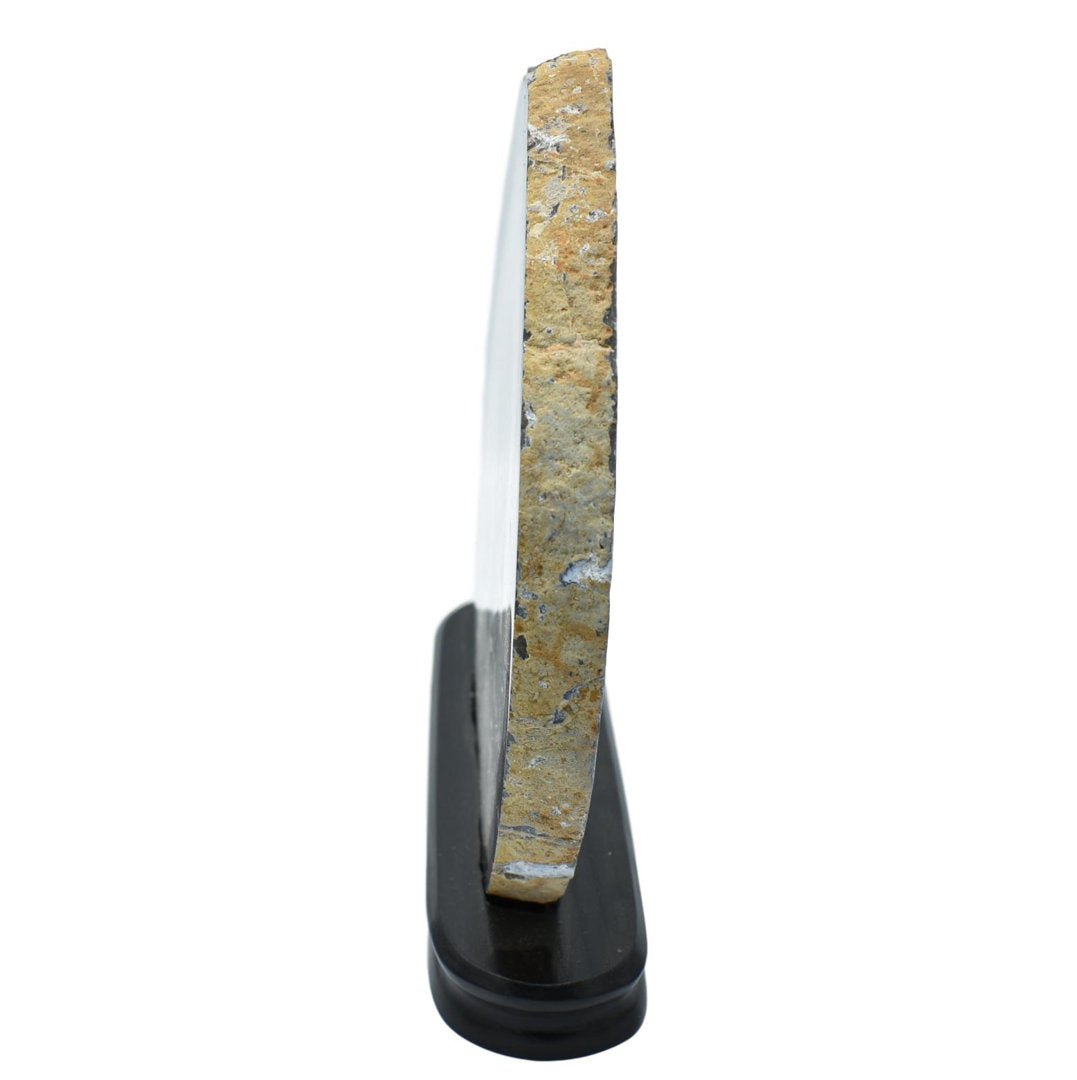 Devitt Agate Wheel in Wood Base Mercer41