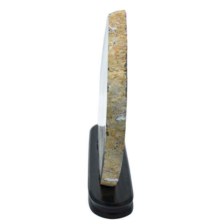 Devitt Agate Wheel in Wood Base Mercer41