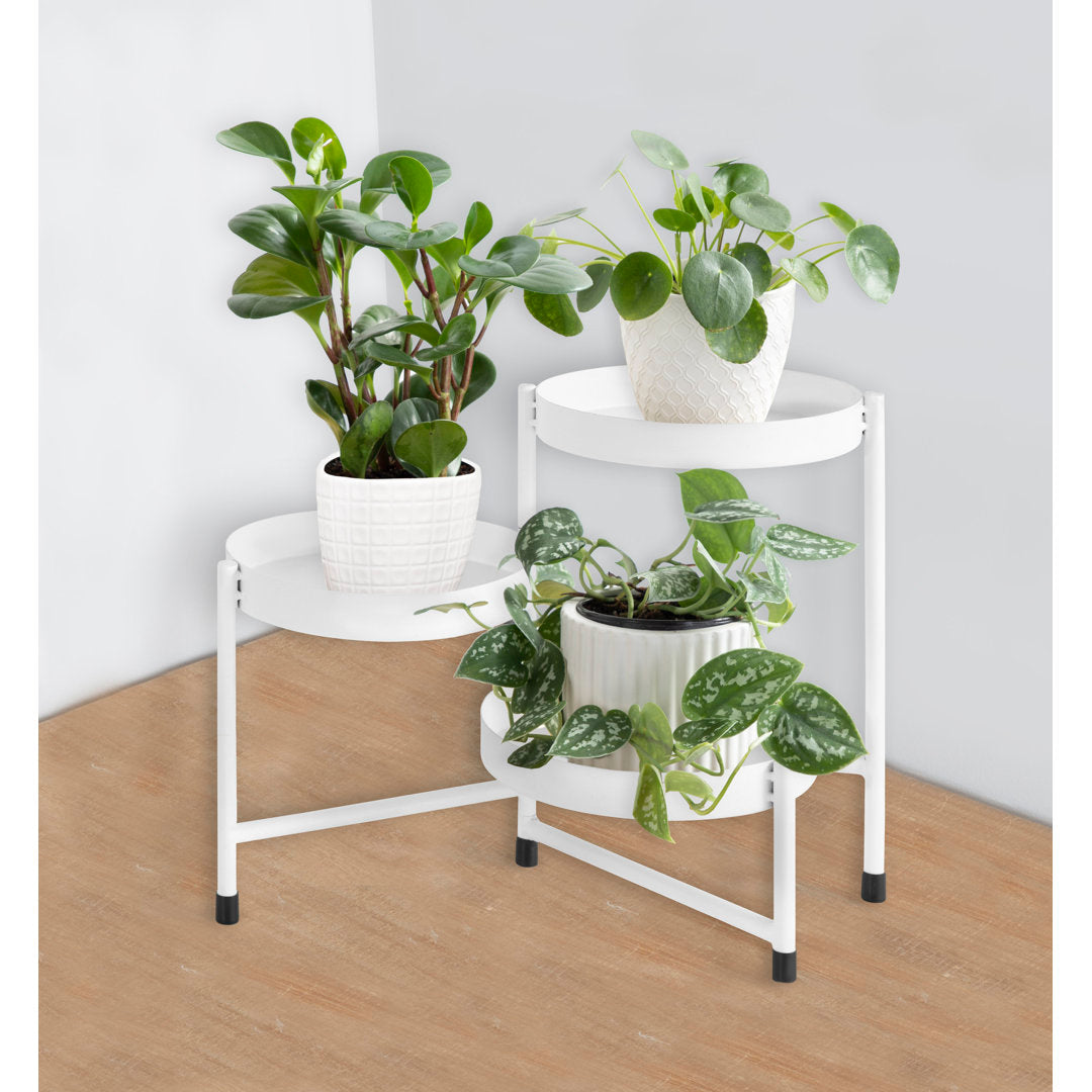 Oquendo Round Multi-tiered Plant Stand Ivy Bronx Color: White