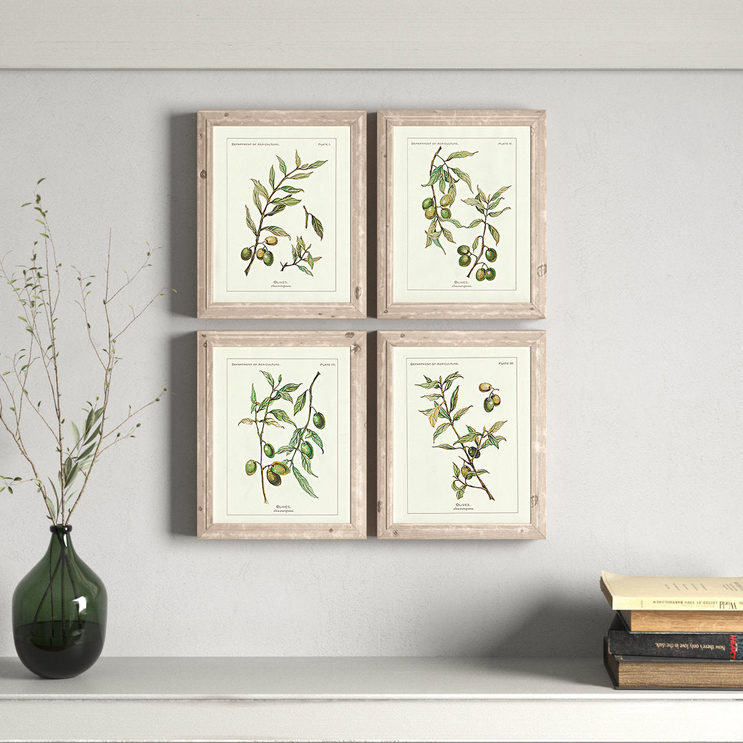 Evy Olive Leaf Botanical' - 4 Piece Picture Frame Graphic Art Print Set on Paper Birch Lane™