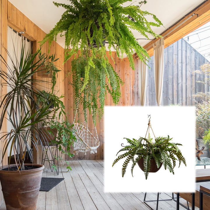 Faux Boston Fern - Hanging Natural and Lifelike Artificial Arrangement and Imitation Greenery with Basket for Home or Office Décor Bay Isle Home™
