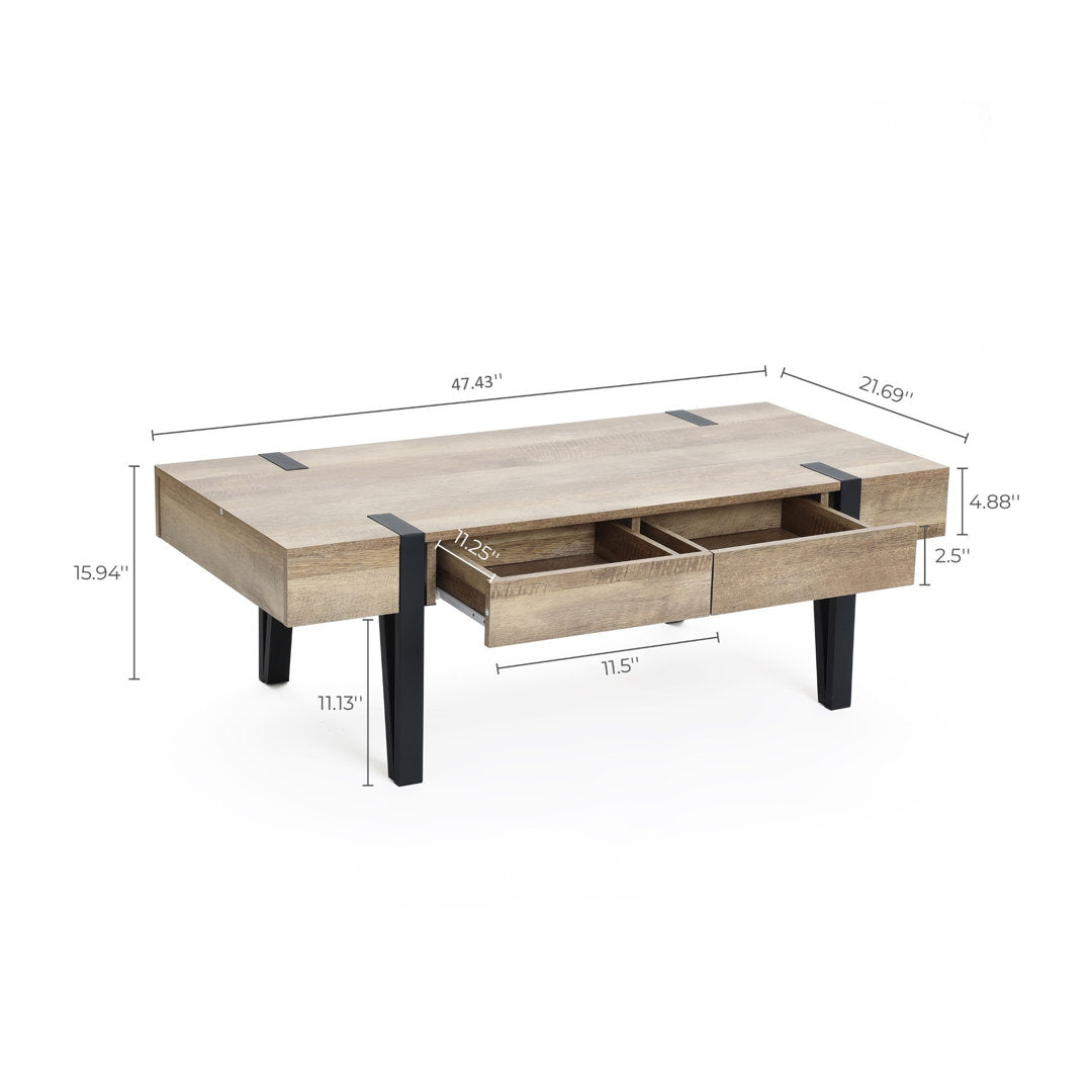 Regalado 2-Drawer Coffee Table Trent Austin Design®