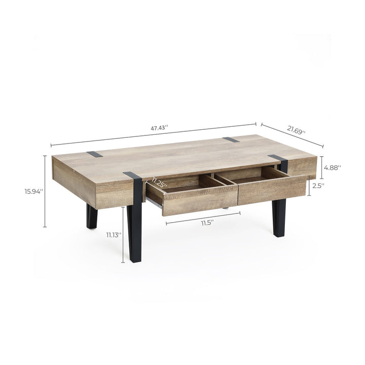 Regalado 2-Drawer Coffee Table Trent Austin Design®
