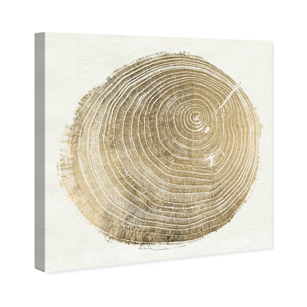 Abstract Cuore di Legno II - Picture Frame Graphic Art Print on Paper Brayden Studio® Size: 21.5" H x 21.5" W x 0.5" D Format: Brown Framed Paper