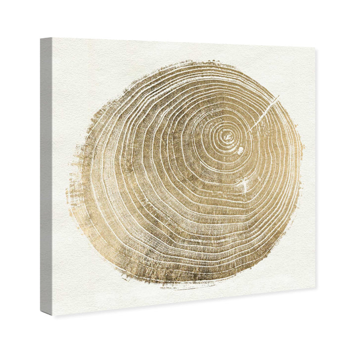 Abstract Cuore di Legno II - Picture Frame Graphic Art Print on Paper Brayden Studio® Size: 21.5" H x 21.5" W x 0.5" D Format: Brown Framed Paper