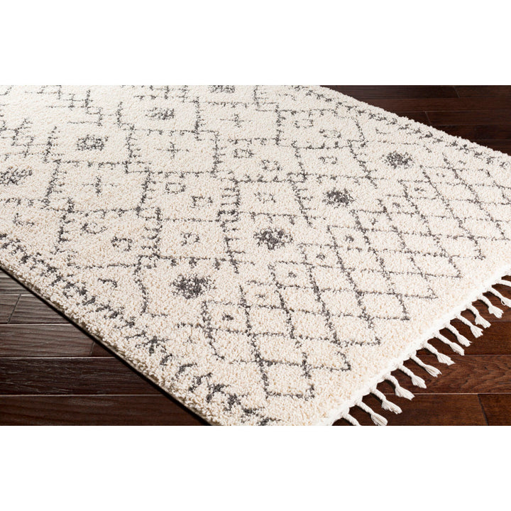 Mossy Moroccan Charcoal/Beige Area Rug AllModern Rug Size: Rectangle 3'1" x 4'11"