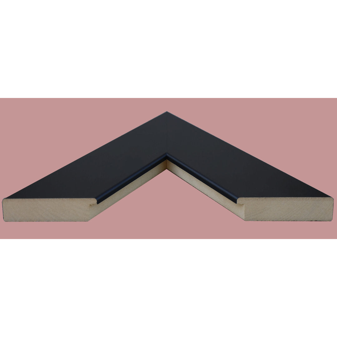 Gollu Mirror Ebern Designs Size: 24" x 48" Finish: Black