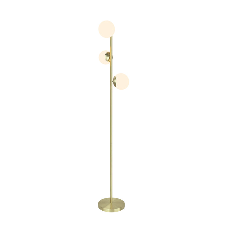 66" Tree Floor Lamp Everly Quinn