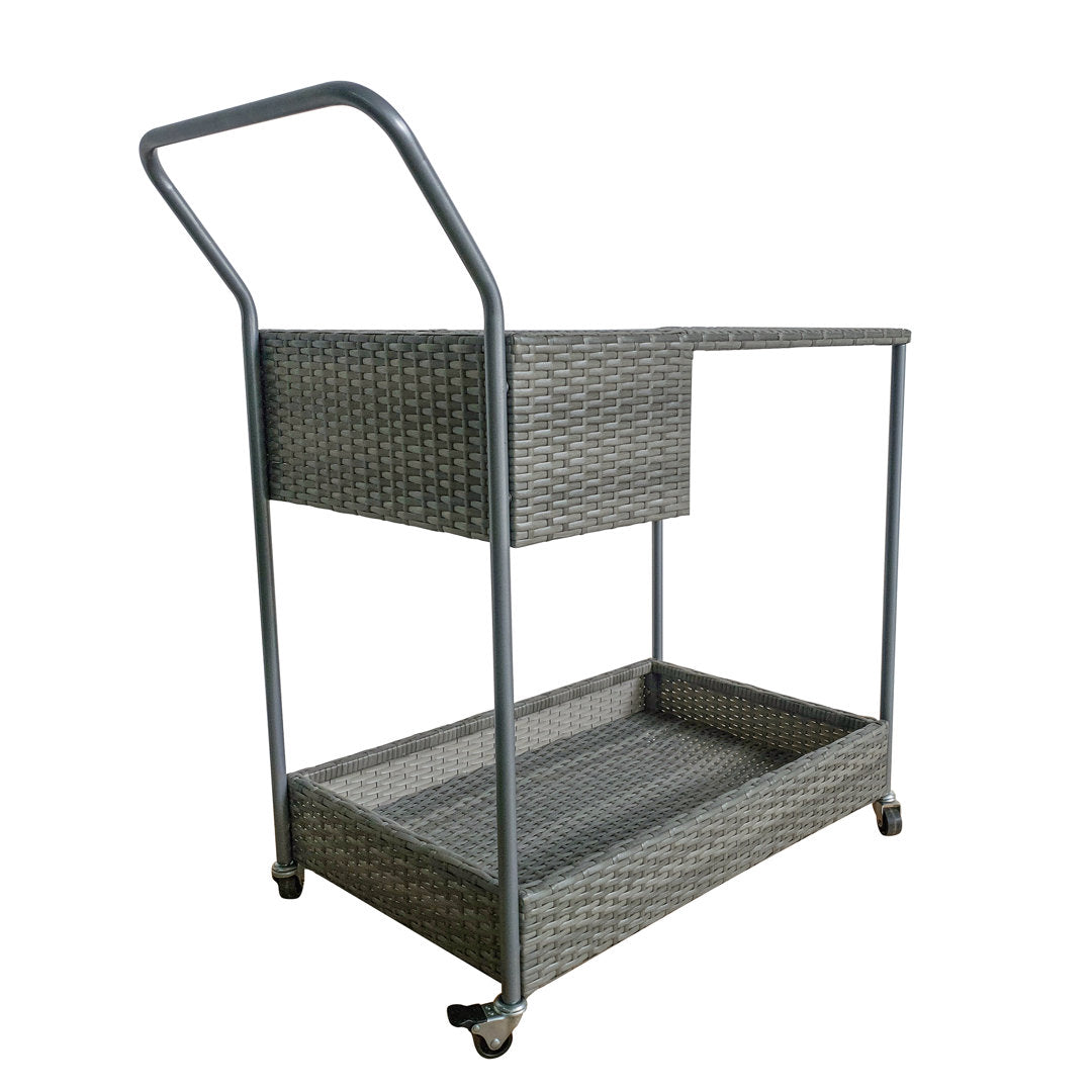 Chambord Bar Cart with Aluminum Frame Birch Lane™