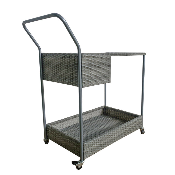 Chambord Bar Cart with Aluminum Frame Birch Lane™