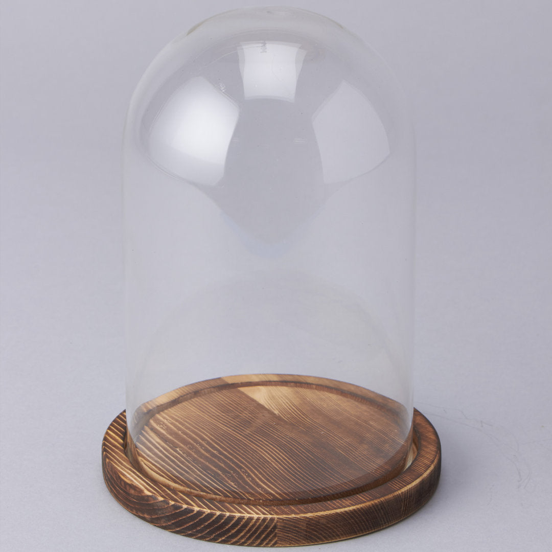 Beacham Glass Dome with Wood Base Charlton Home®