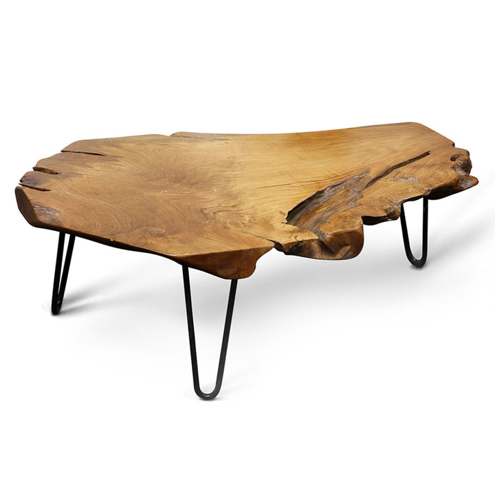 Thaxton 3 Leg Coffee Table Steelside™