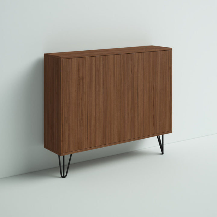 Azerion 2 - Door Accent Cabinet Wade Logan® Color: Walnut