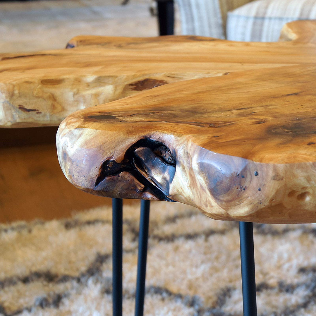 Centerview Solid Wood End Table Charlton Home®