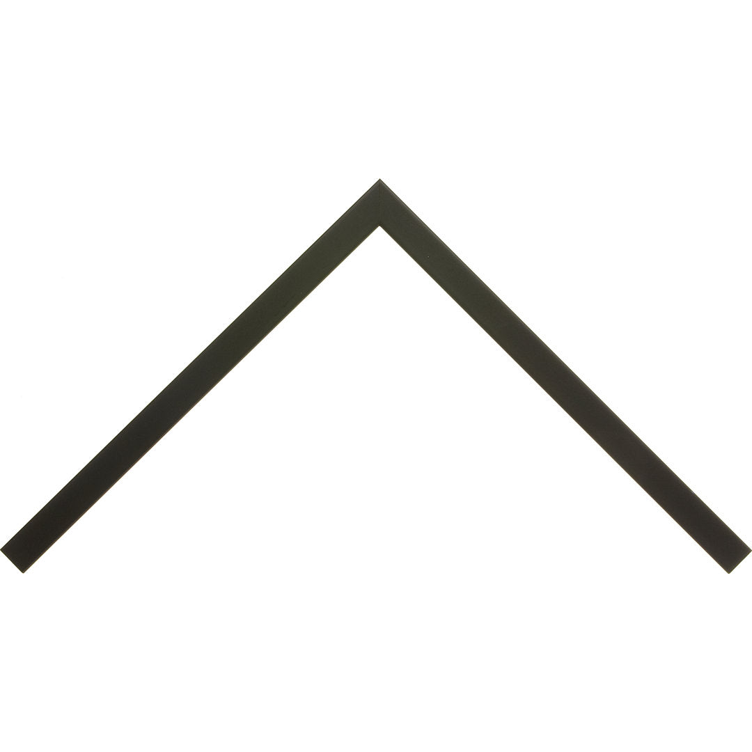 Beach Grass II Beachcrest Home™ Size: 8" H x 12" W x 1.25" D Format: Black Single Picture Framed, Mat Included: No