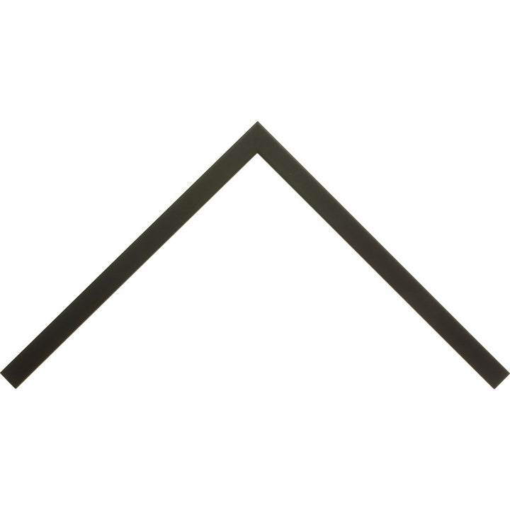 Beach Grass II Beachcrest Home™ Size: 8" H x 12" W x 1.25" D Format: Black Single Picture Framed, Mat Included: No
