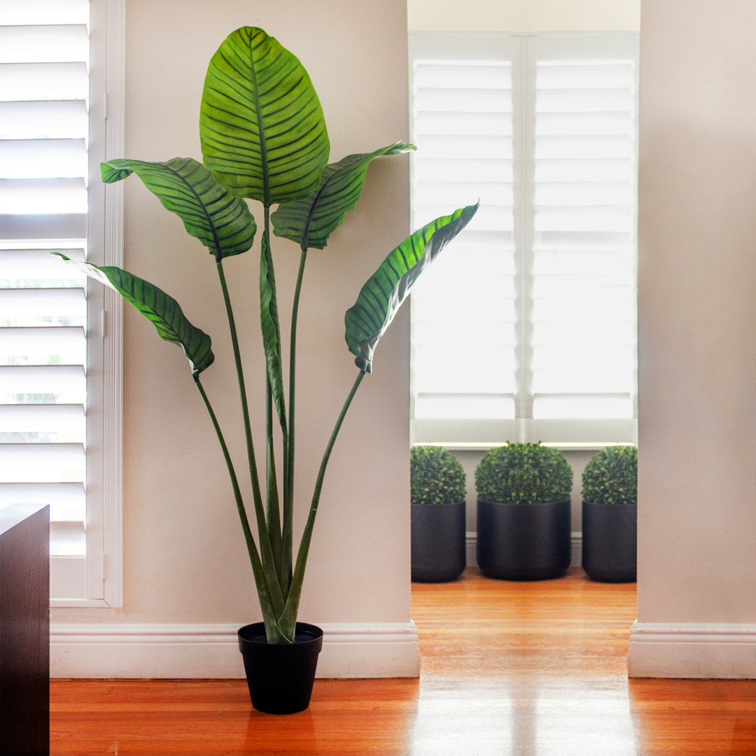 60in. Travelers Palm Tree UV Resistant (Indoor/Outdoor) Bay Isle Home™