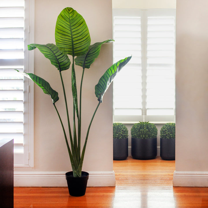 60in. Travelers Palm Tree UV Resistant (Indoor/Outdoor) Bay Isle Home™