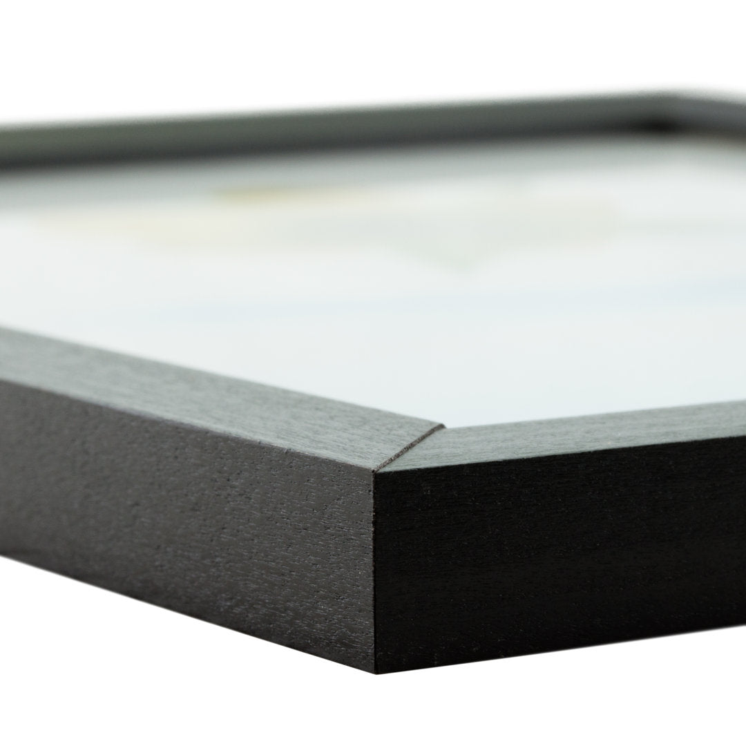 Single Picture Frame Alcott Hill® Color: Black Photo Size: 17" x 24"
