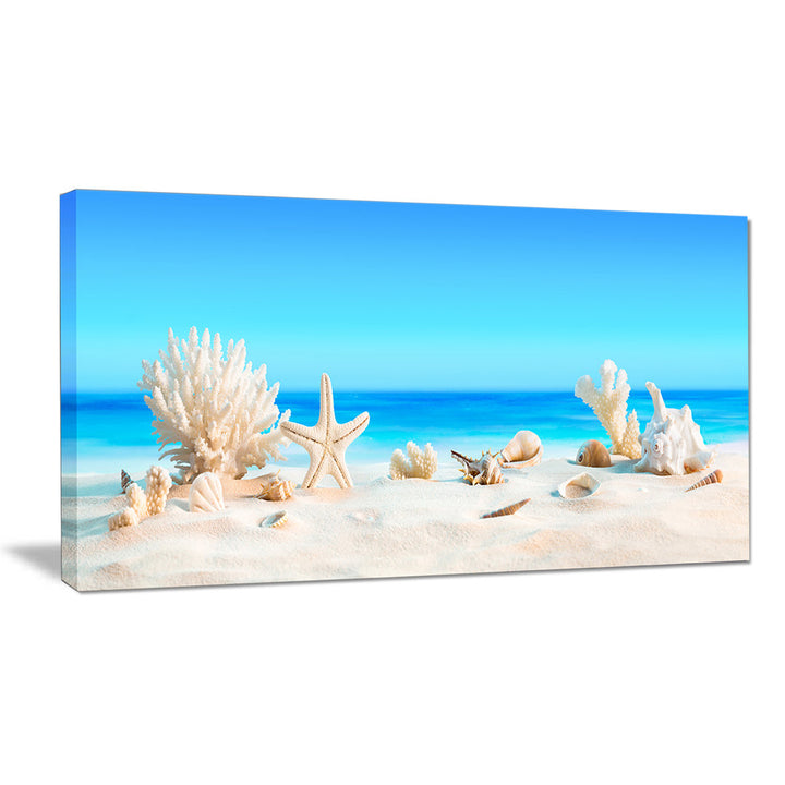 Risa Seashells on Tropical Beach' Graphic Art Highland Dunes Size: 16" H x 32" W x 1" D Format: Wrapped Canvas