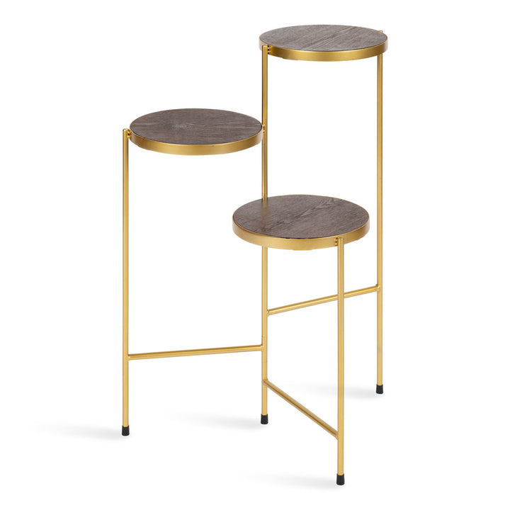 Logan Square Round Multi-Tiered Solid Wood Plant Stand Mercury Row® Color: Walnut Brown