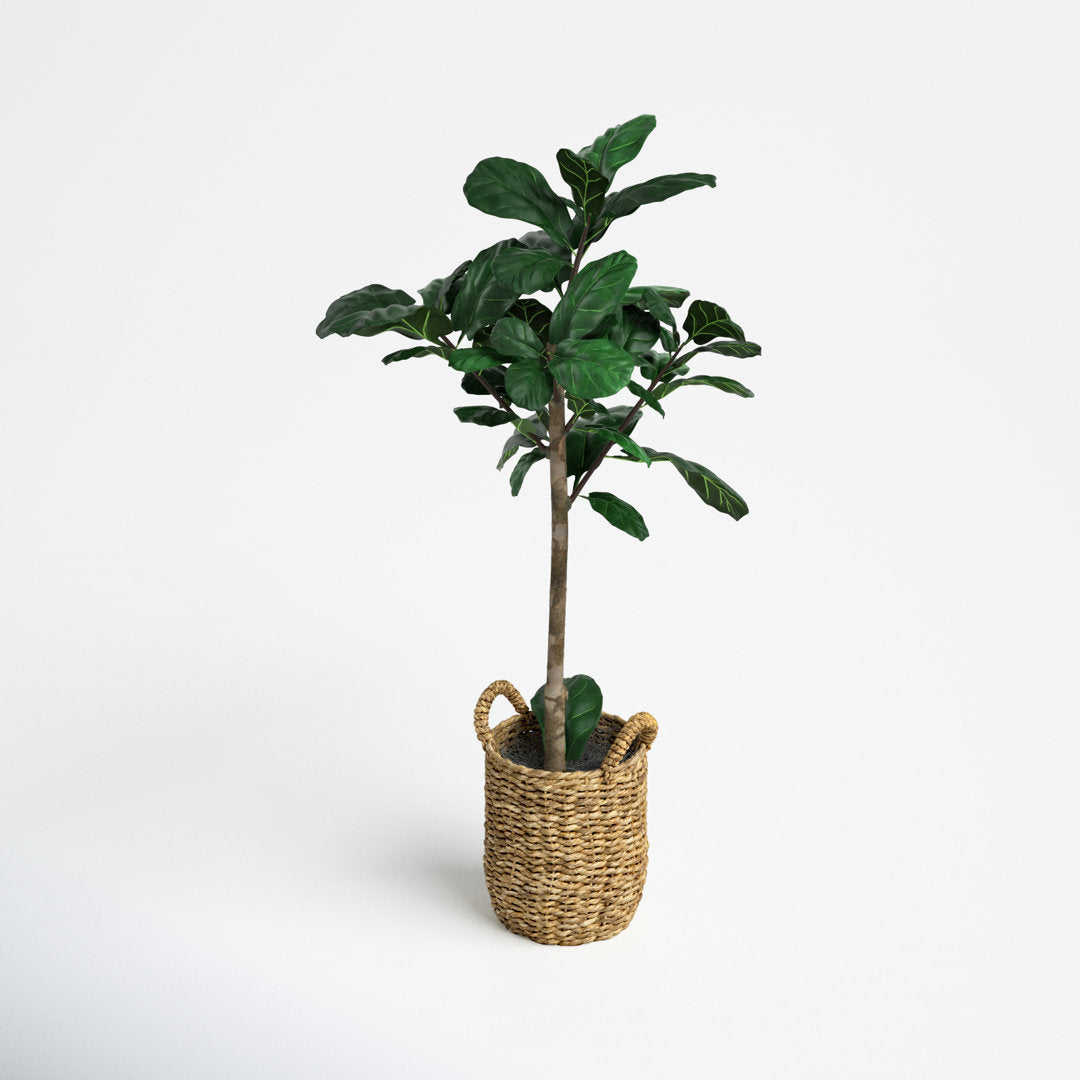 30" Artificial Fiddle Leaf Fig Tree in Basket Joss & Main