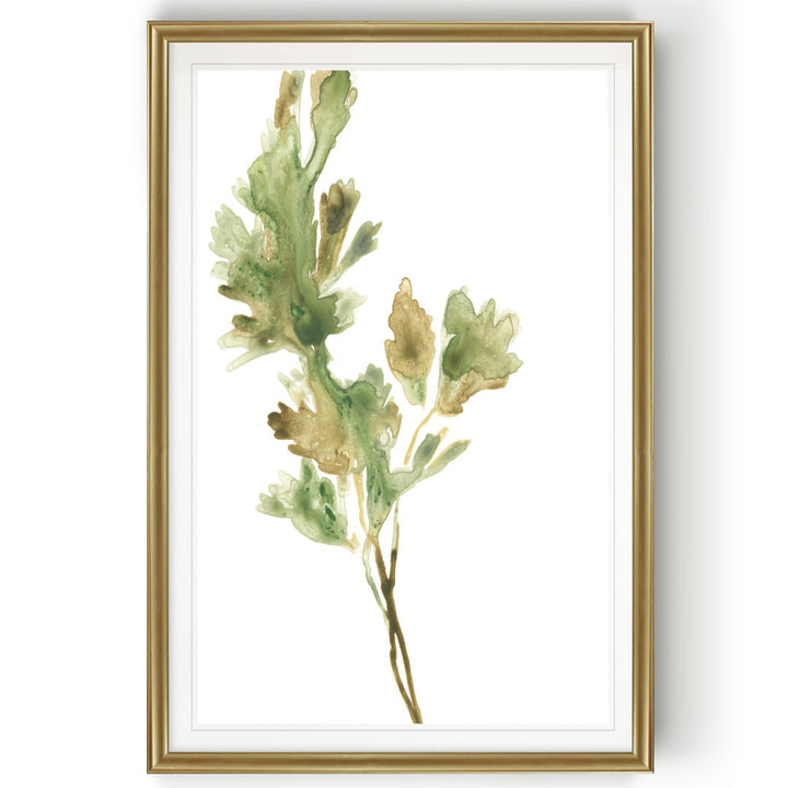 Earthtone Herbs I' Painting on Canvas Gracie Oaks Size: 26.5" H x 36.5" W x 1.5" D Format: Gold Framed