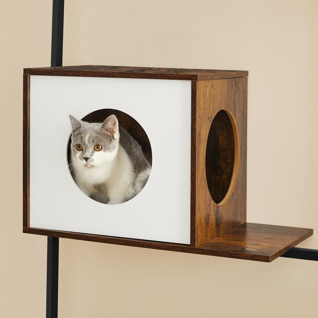 Kimmel 61" Marciano Cat Tree or Condo Archie & Oscar™