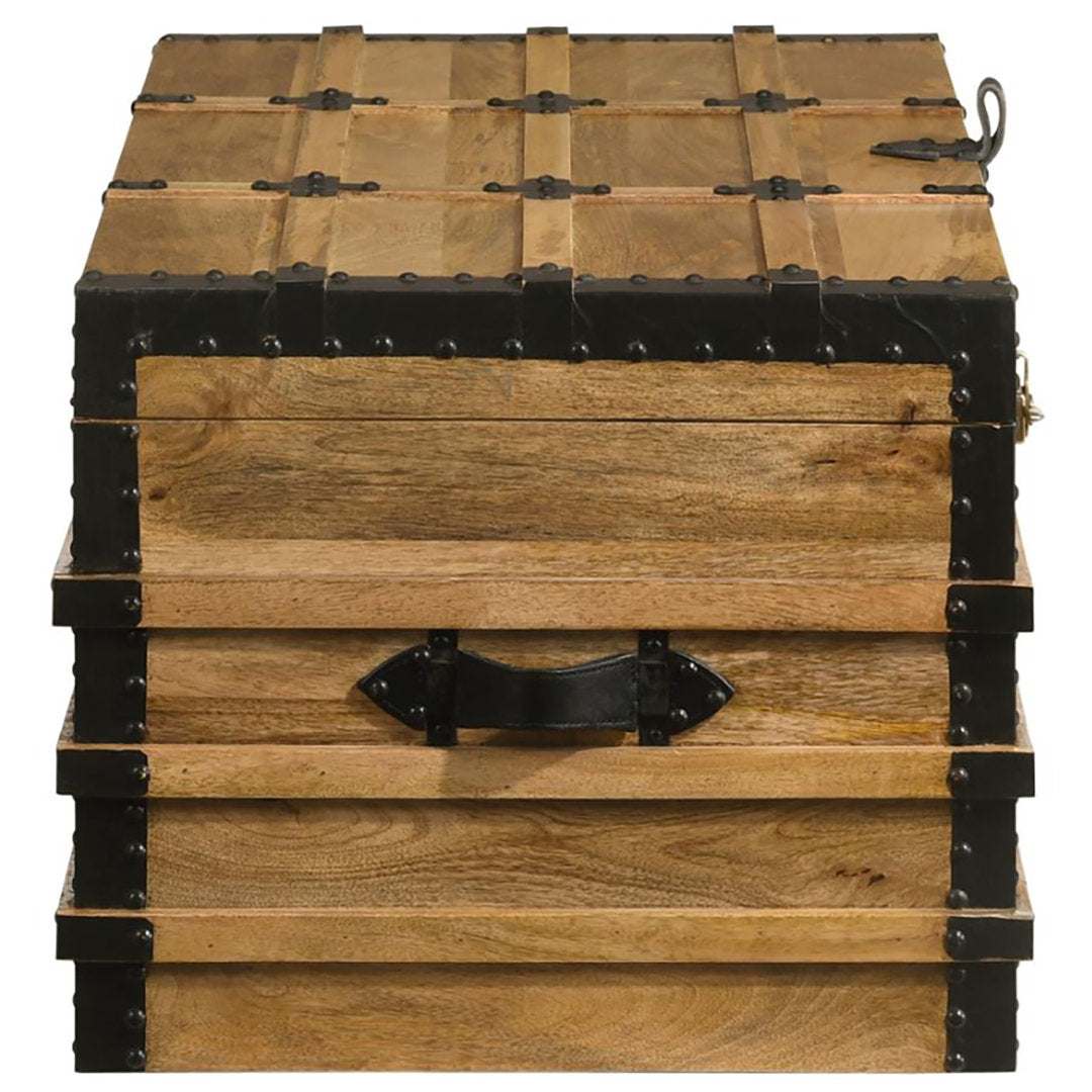 Francene Ellis Accent Trunk Union Rustic