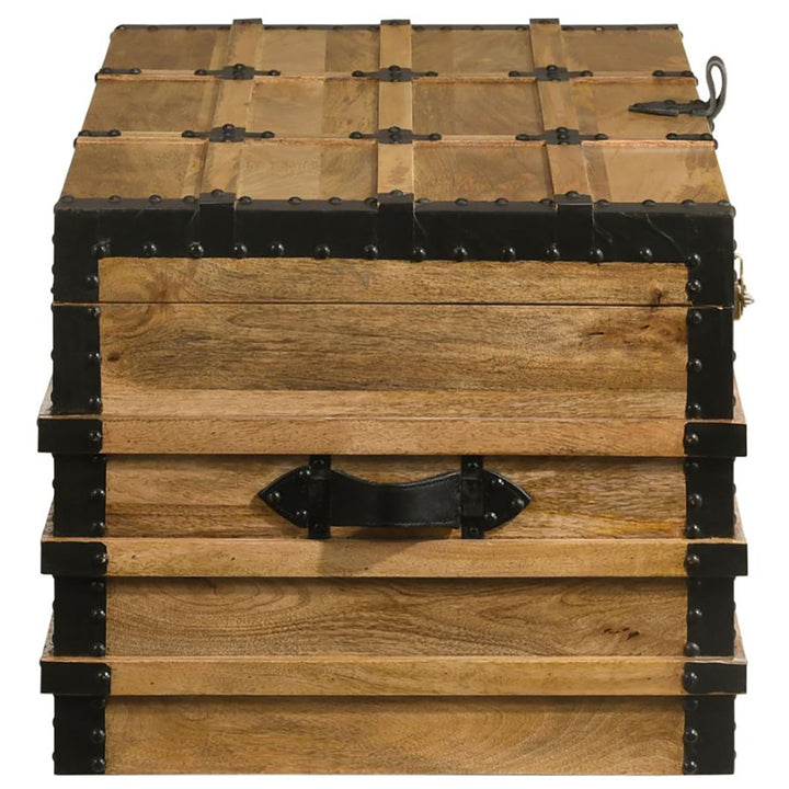 Francene Ellis Accent Trunk Union Rustic