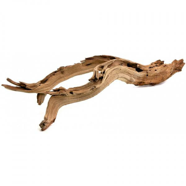 Adolfa Decorative Natural Scuplture Union Rustic Size: 12" W