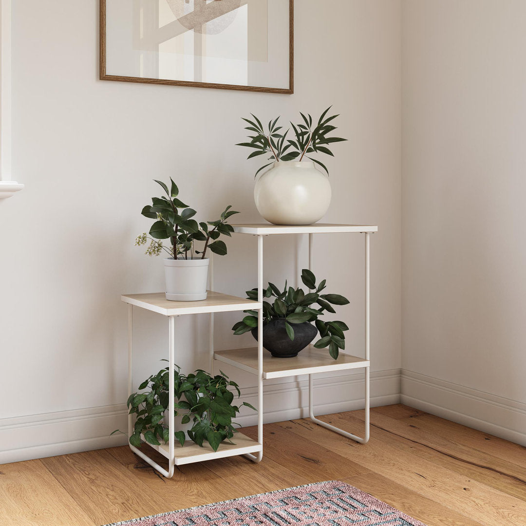 Naloni Rectangular Multi-tiered Plant Stand Latitude Run®