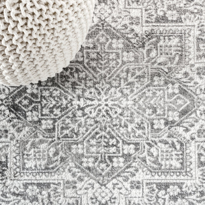 Blane Modern Vintage Medallion Light Gray Rug World Menagerie Rug Size: Rectangle 3' x 5'