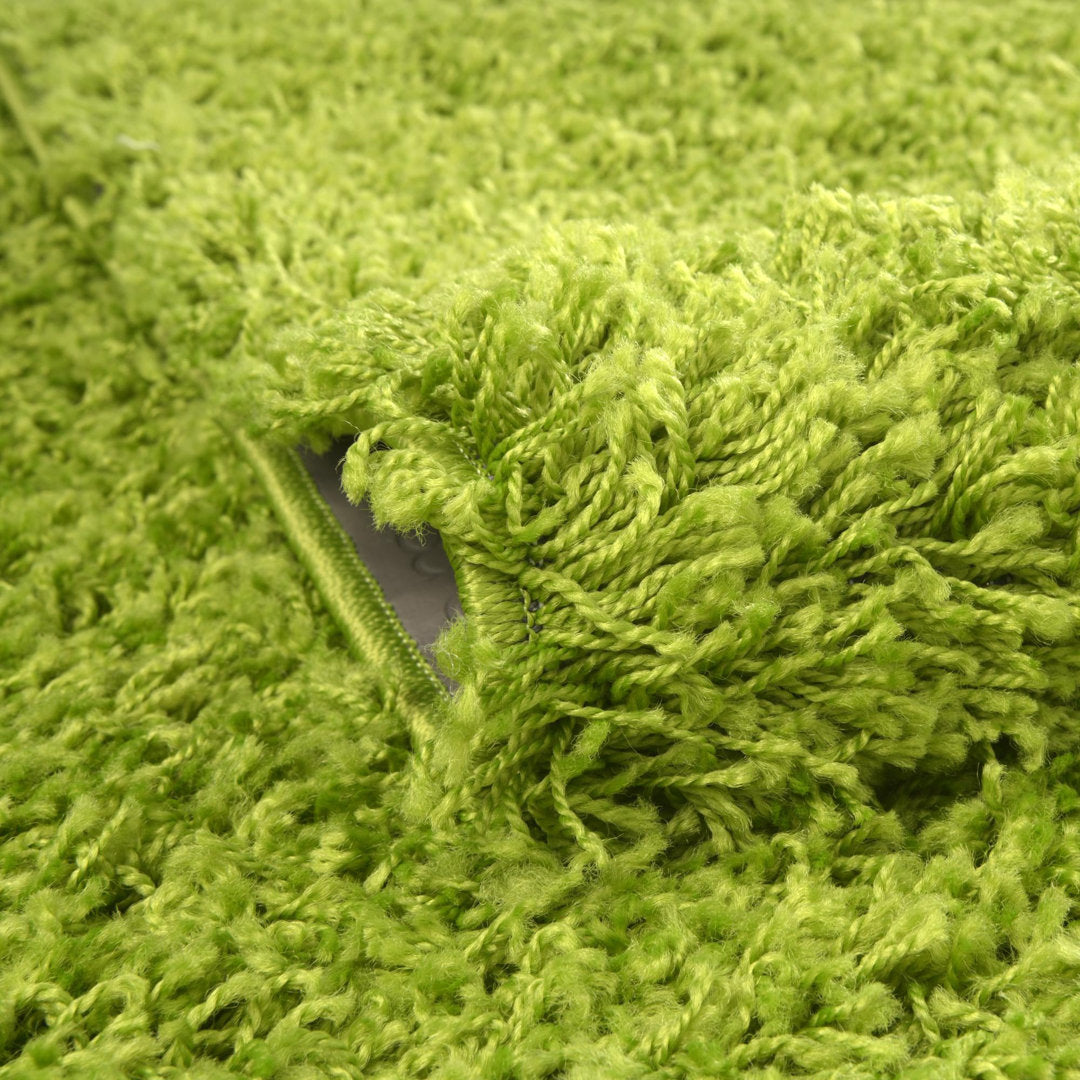 Torunn Grass Green Area Rug Ebern Designs Rug Size: Rectangle 2' x 3'1"