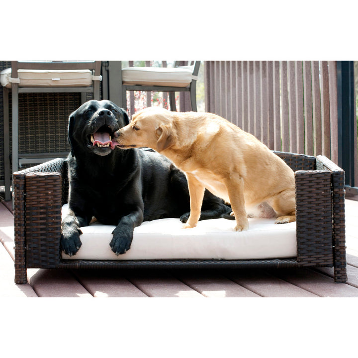 Cristobal Rattan Rectangular Dog Sofa Archie & Oscar™ Size: Large (38.5" W x 26.5" D x 15" H)