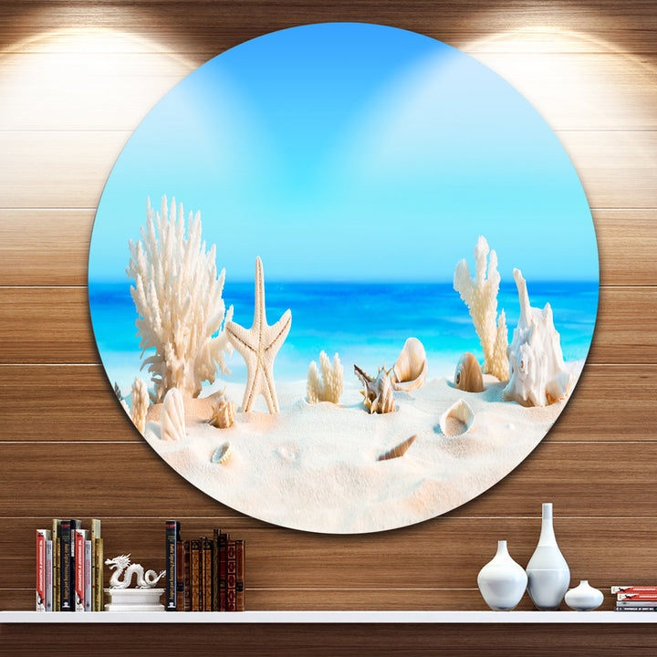 Risa Seashells on Tropical Beach' Graphic Art Highland Dunes Size: 23" H x 23" W x 1" D Format: Metal