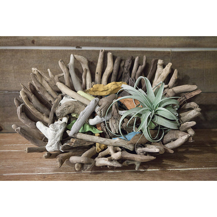 Bucareli Driftwood Oval Decorative Bowl in Brown Beachcrest Home™