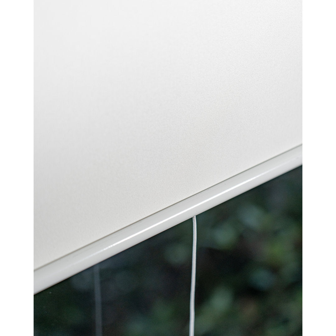 Shaunna Snap-N'-Glide Cordless Room Darkening Roll-up Shade Symple Stuff Color: Byssus White Blind Size: 61"W x 72"L