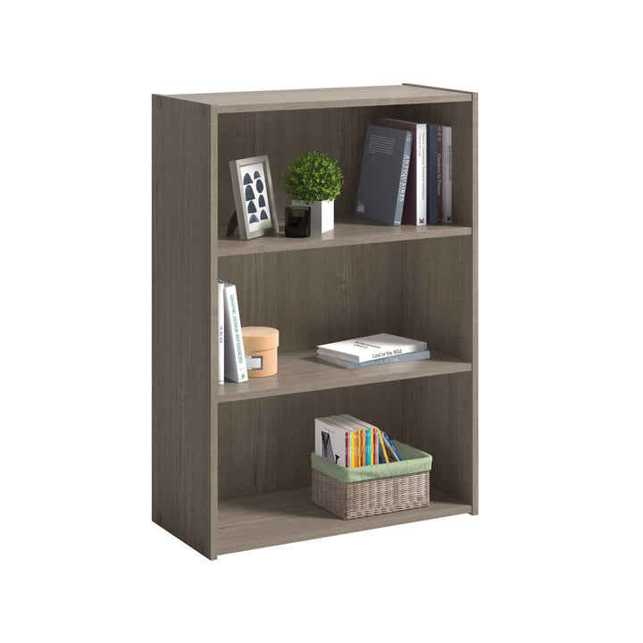 Arisztid 35.28" H x 24.57" W Standard Bookcase Lark Manor™ Color: Silver Sycamore