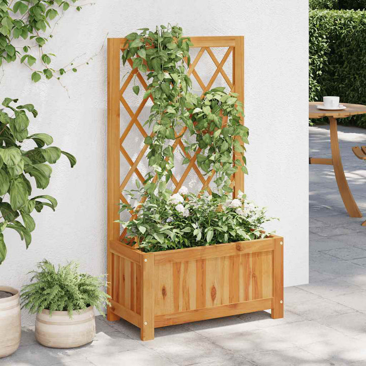 Telesha vidaXL Garden Raised Bed with Trellis, Solid Acacia Wood Planter, Outdoor and Indoor Use, Brown Arlmont & Co.