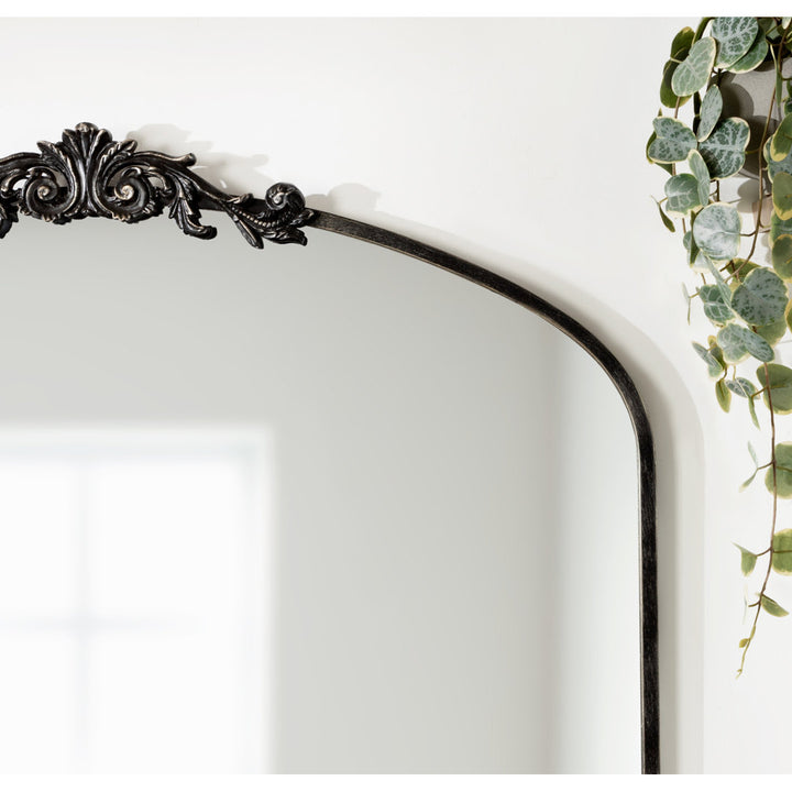 Anglo Arendahl Traditional Accent Mirror Fleur De Lis Living Size: 28.5" x 36" Finish: Black