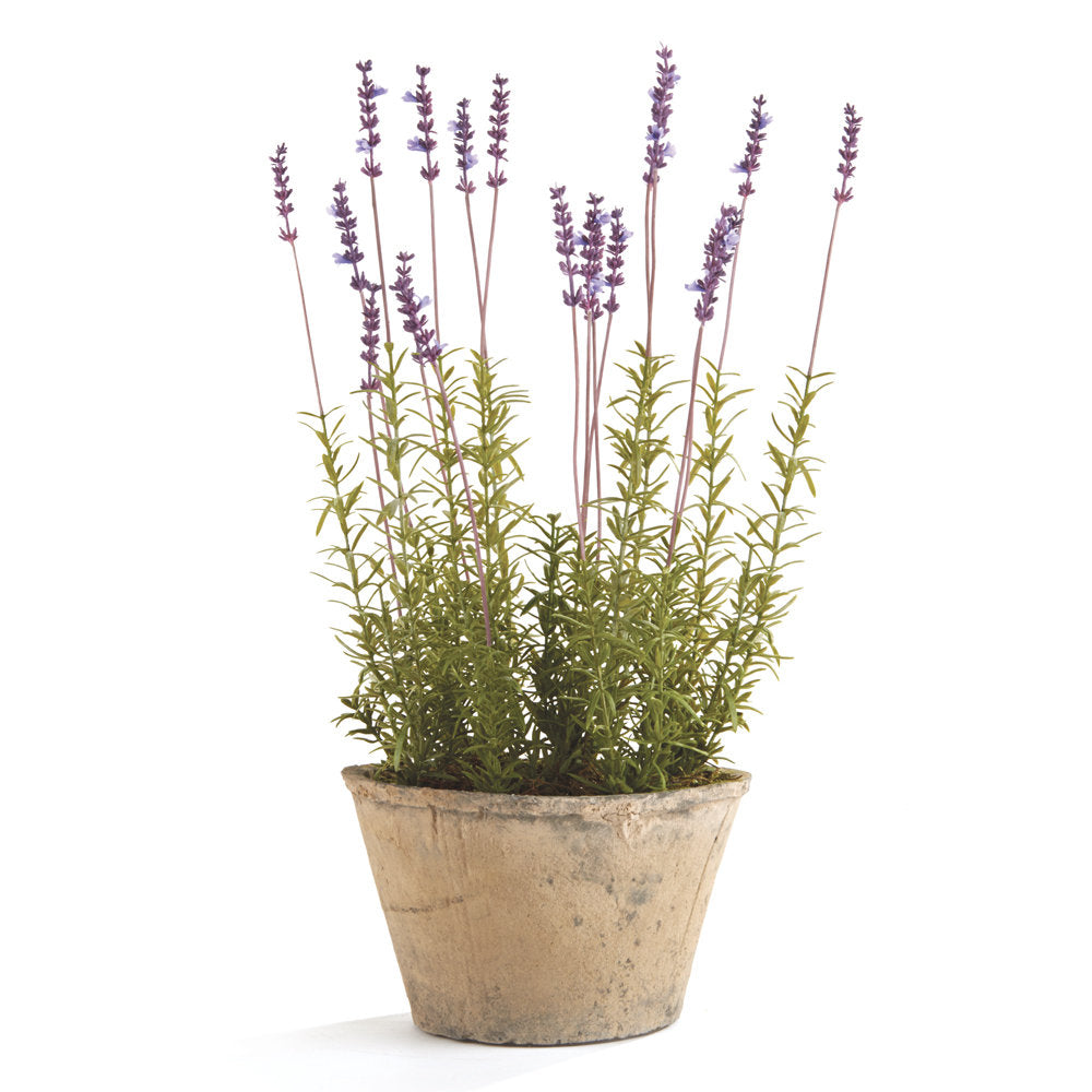 French Lavender Floral Arrangement in Pot Kelly Clarkson Home