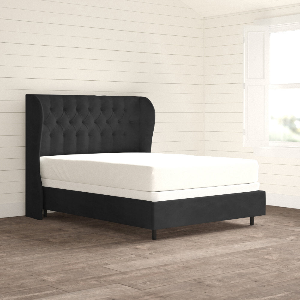Knaresborough Tufted Upholstered Low Profile Standard Bed Greyleigh™ Size: Queen Body Fabric: Classic Black Performance Velvet