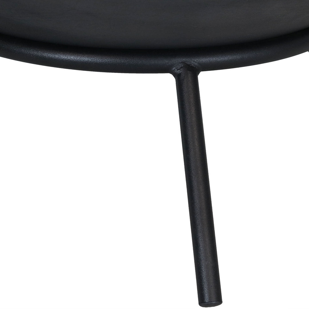 Eckard 22" Round Wood-Burning Black Finish Cast Iron Raised Fire Pit Bowl with Stand Wrought Studio™