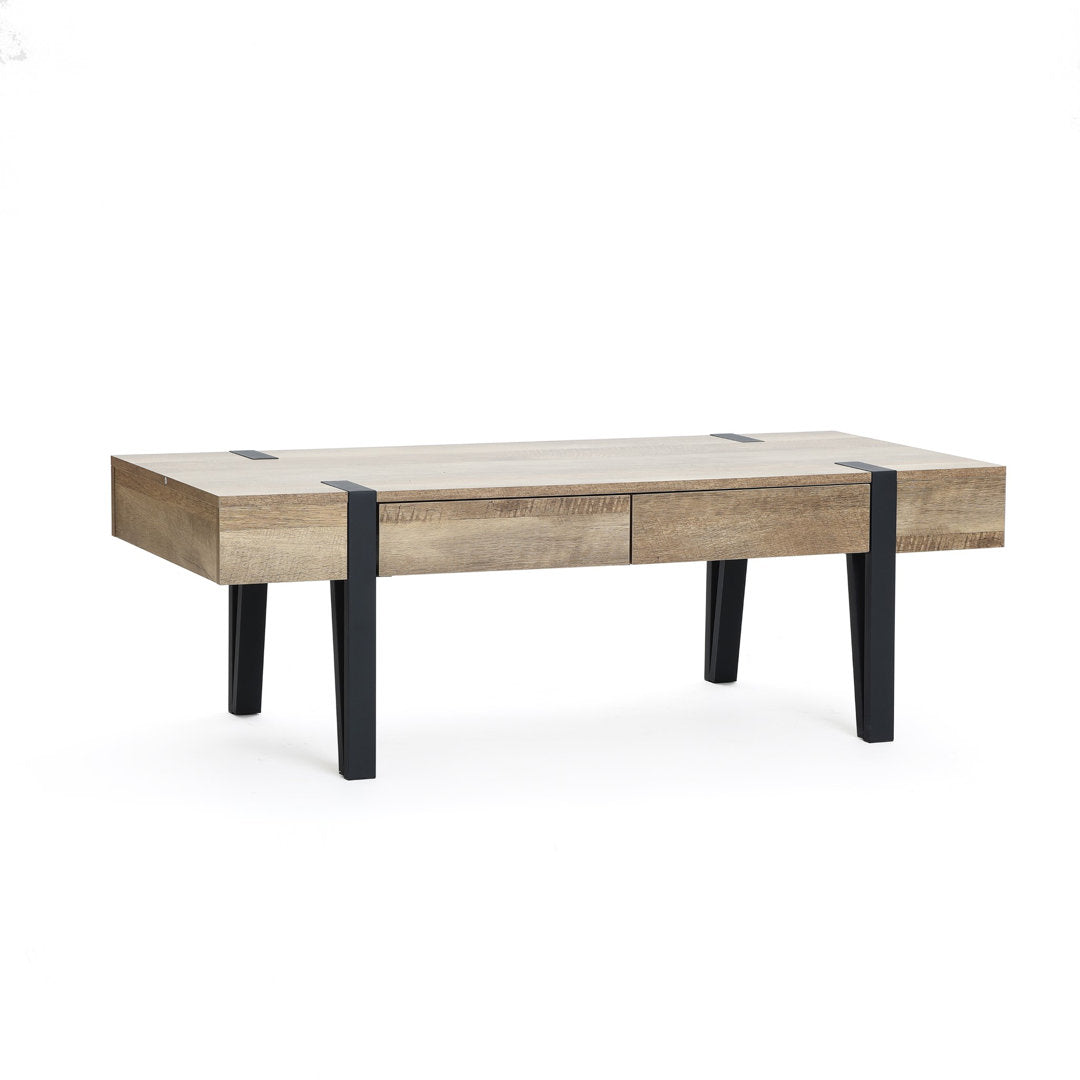 Regalado 2-Drawer Coffee Table Trent Austin Design®